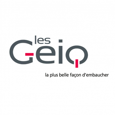 Logo partenaire GEIQ