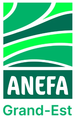 Logo partenaire ANEFA